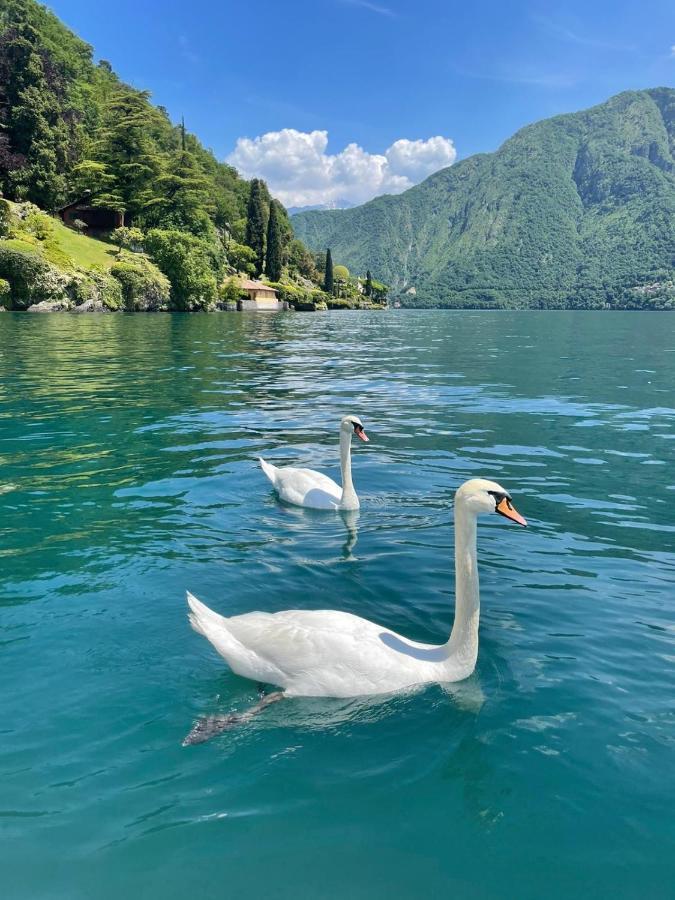 Апартаменты Casacamelia 35, 3 Bdrm With View Lake Como Аккуазериа Экстерьер фото